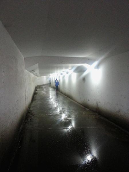 子一起完成的比较特殊且有意义的事情有哪些?