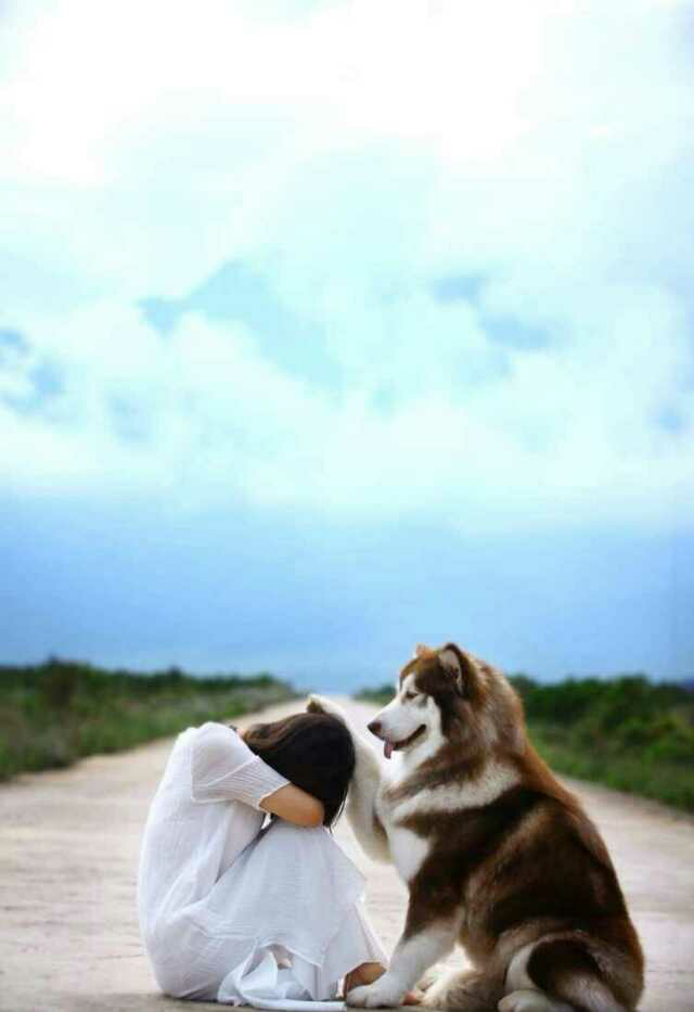 想考研,但不喜欢英语和政治怎么办? - 政治 - 知