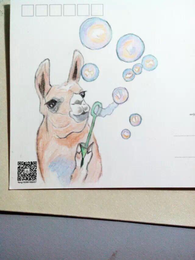 羊驼驼,画在明信片上的生日礼物  显示全部