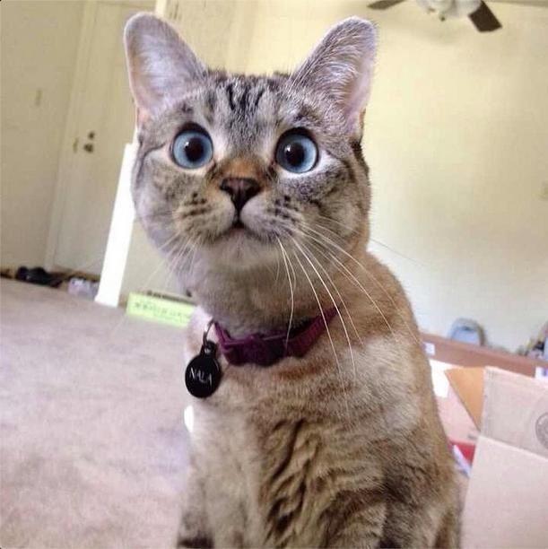 怎么看待2015 年3 月知乎注册用户达到1700 万