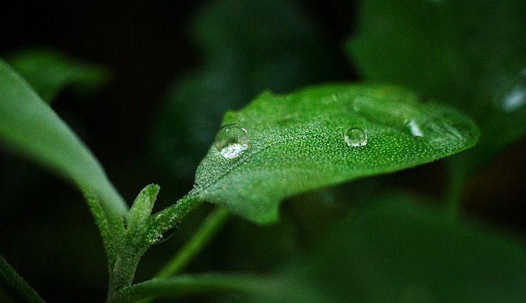 怎么学会享受生活? - 叶正青的回答