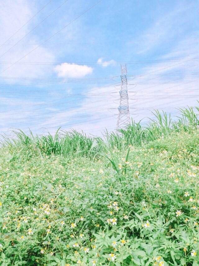 这种青色如何调出来的? - 摄影后期技术 - 知乎