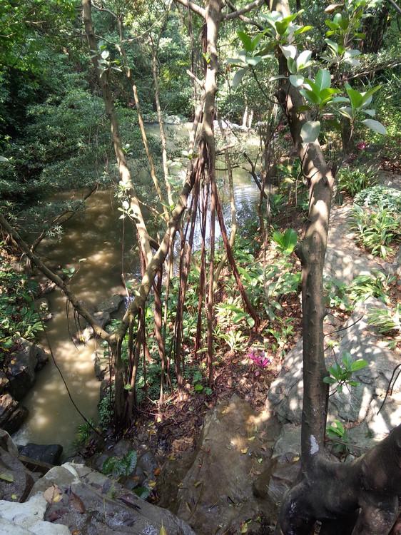 广州有哪些好玩,好看的地方? - 匿名用户的回答