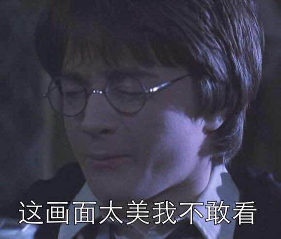 不论对方说什么都能这么还击 但是我最爱的还是乌姆里奇的表情