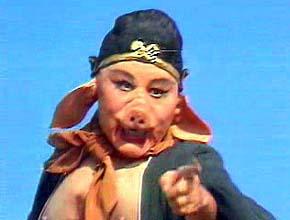 伊斯兰教 - 话题精华