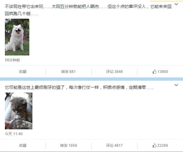 如何看待<em>微博</em>用户「<em>回忆专用小马甲</em>」用绳子绑