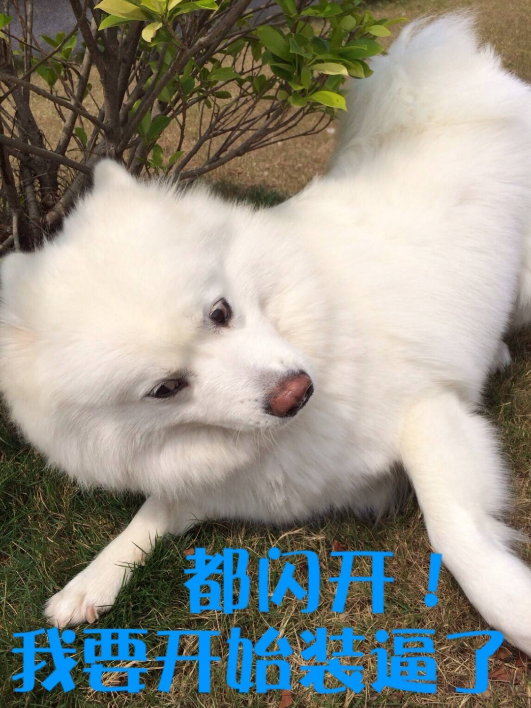 <em>独生子女</em>如何<em>看待</em>父母要生二胎? - 人际交往 - 