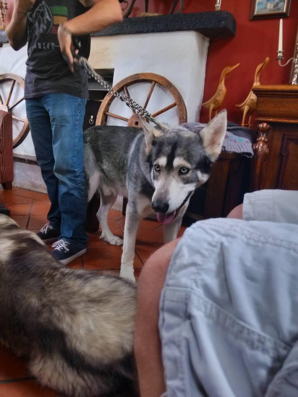 《权力的游戏》中雪诺真的死了吗? - 知乎用户