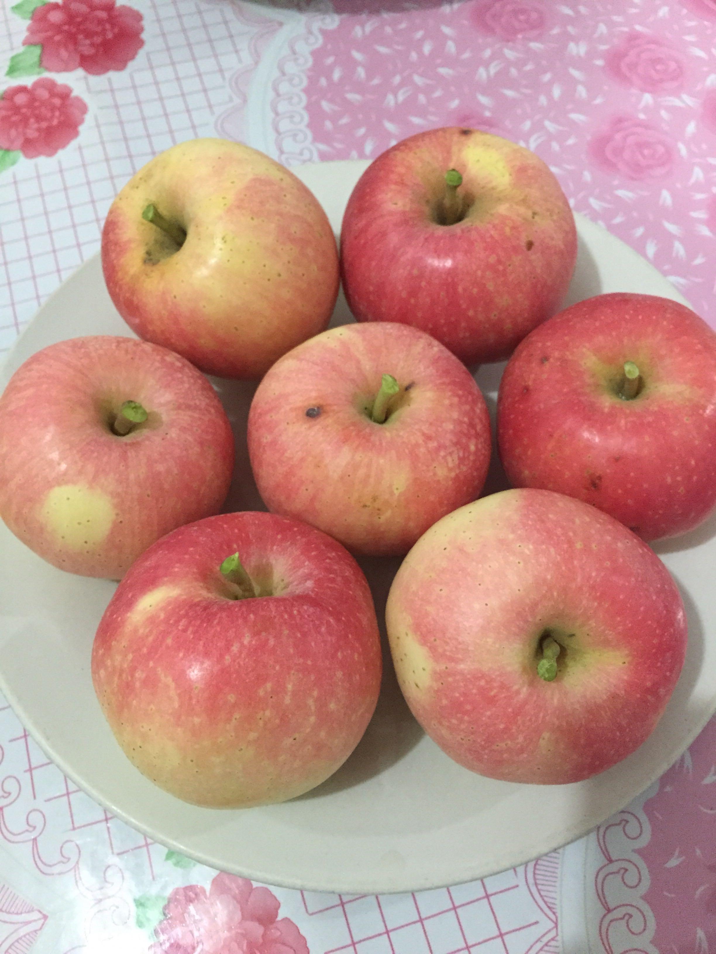 苹果为什么一年四季都有卖? - 知乎用户的回答