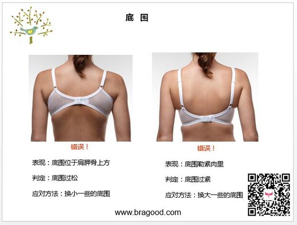 <em>文胸</em>穿得不<em>合适</em>问题多,要格外用心选购(多图)