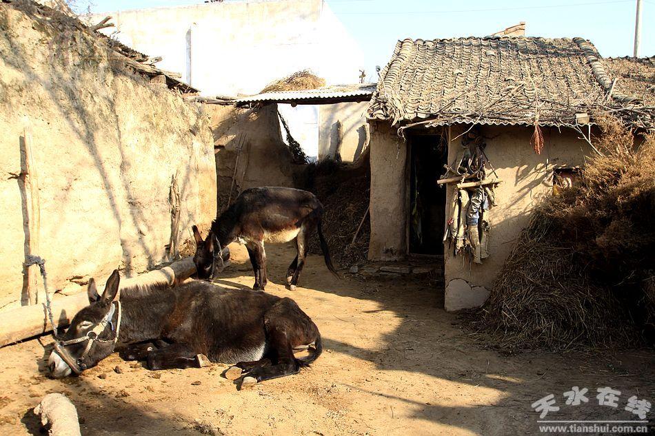 为什么很多中国人把中西部农村想的很穷? - 匿