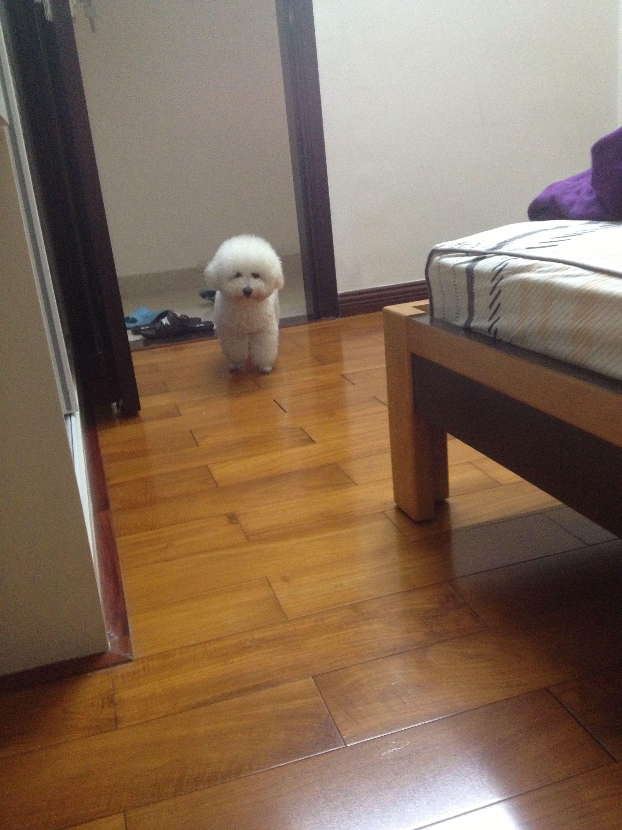 射手男如何追巨蟹女? 大神赐教啊! - 情感 - 知乎