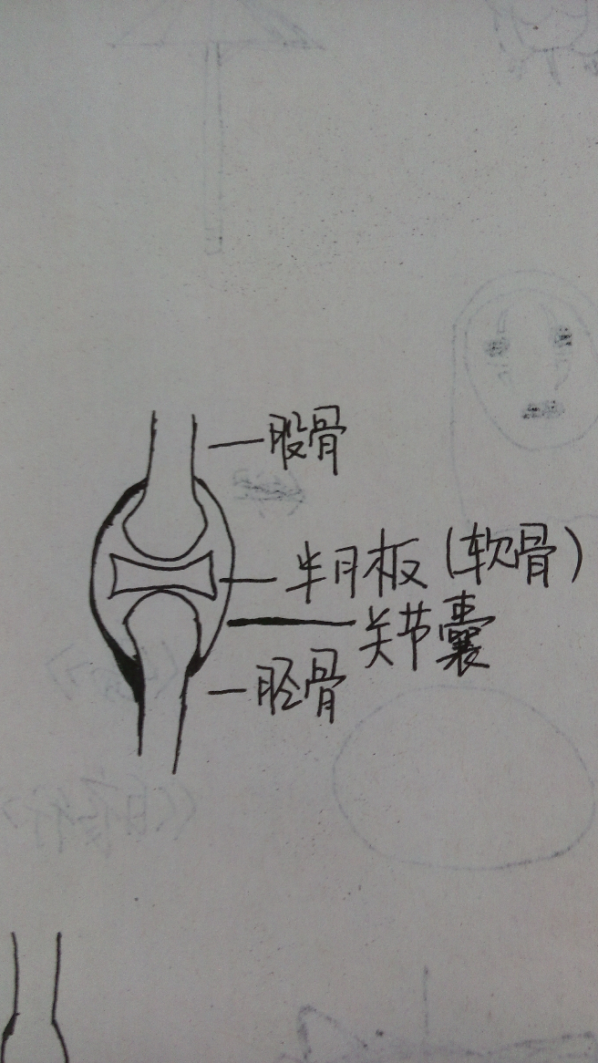 切除半月板后是种怎样的体验?