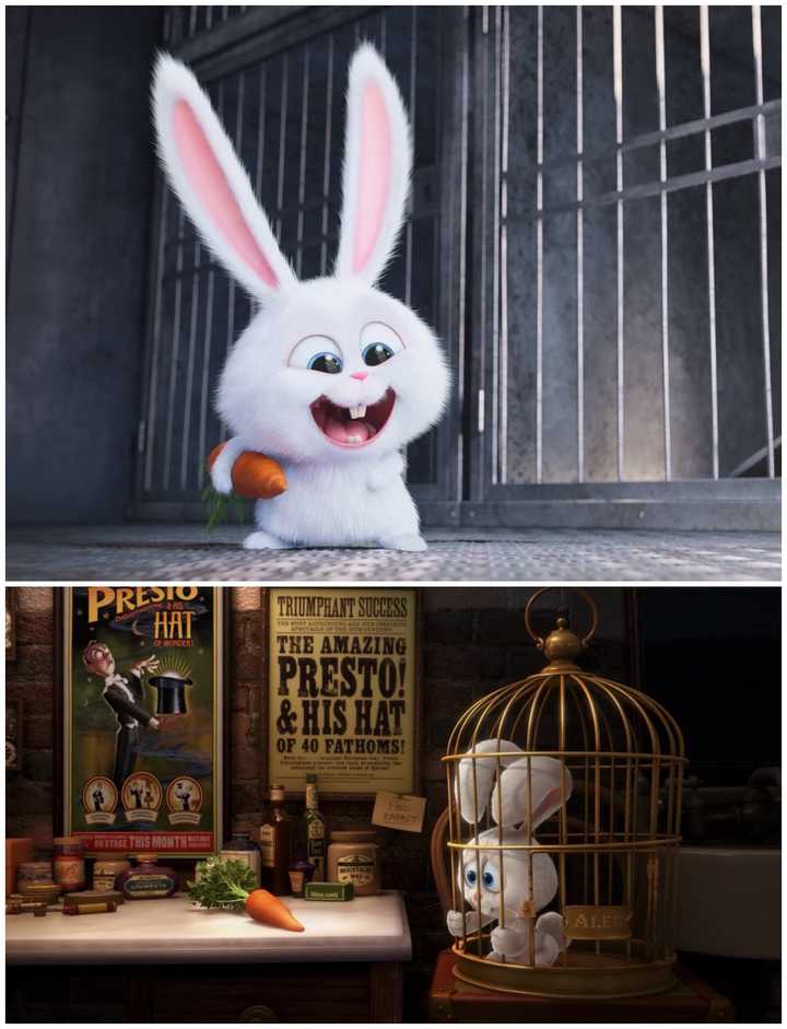 如何评价电影《爱宠大机密》(the secret life of pets)?