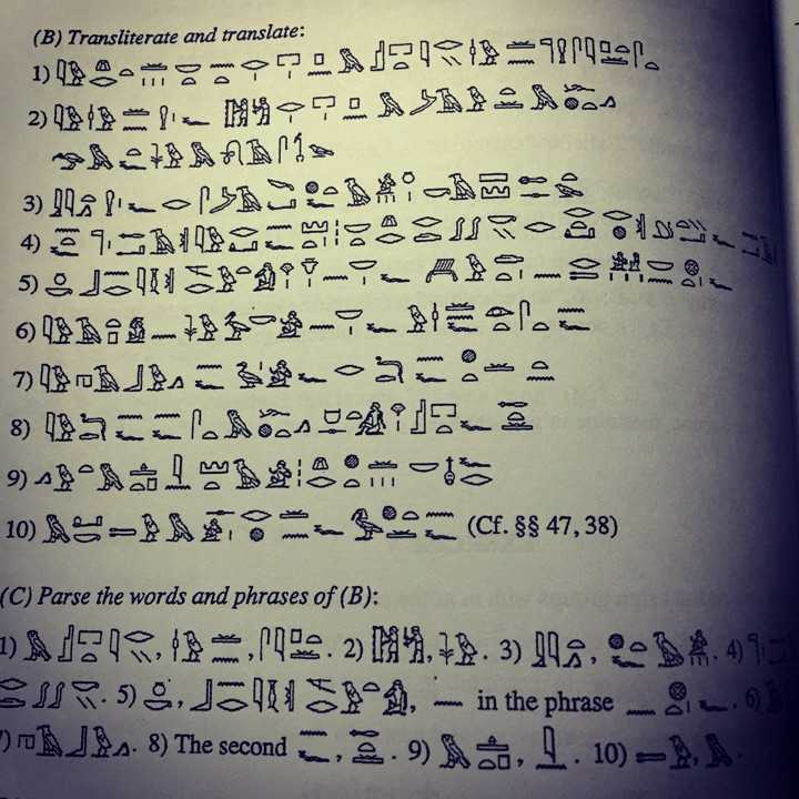 我的天 死语言算吗 就是我看我老师把一堆这样象形文字翻译出来