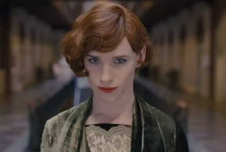 如何评价《丹麦女孩(the danish girl)》?