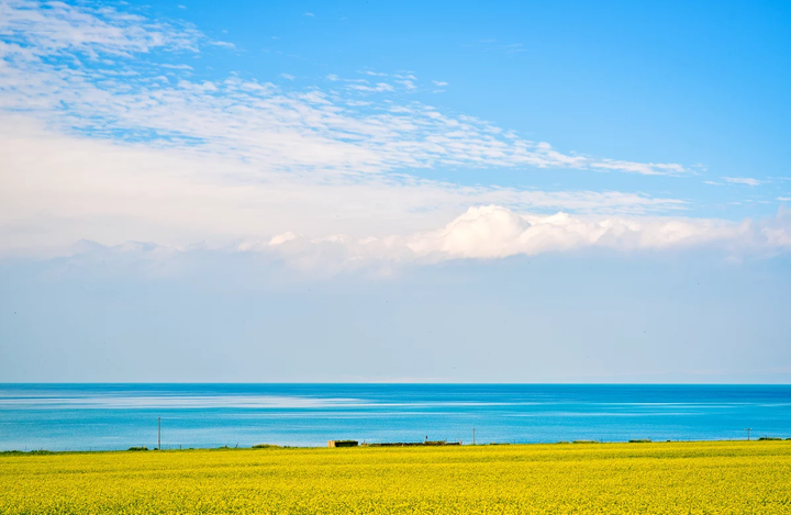 青海湖