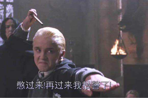 不论对方说什么都能这么还击 但是我最爱的还是乌姆里奇的表情