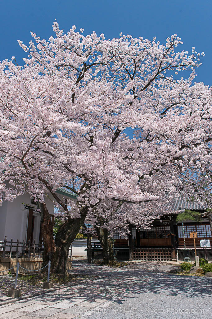 有哪些以日本镰仓幕府,室町幕府,战国为主题的发烧友旅游路线?