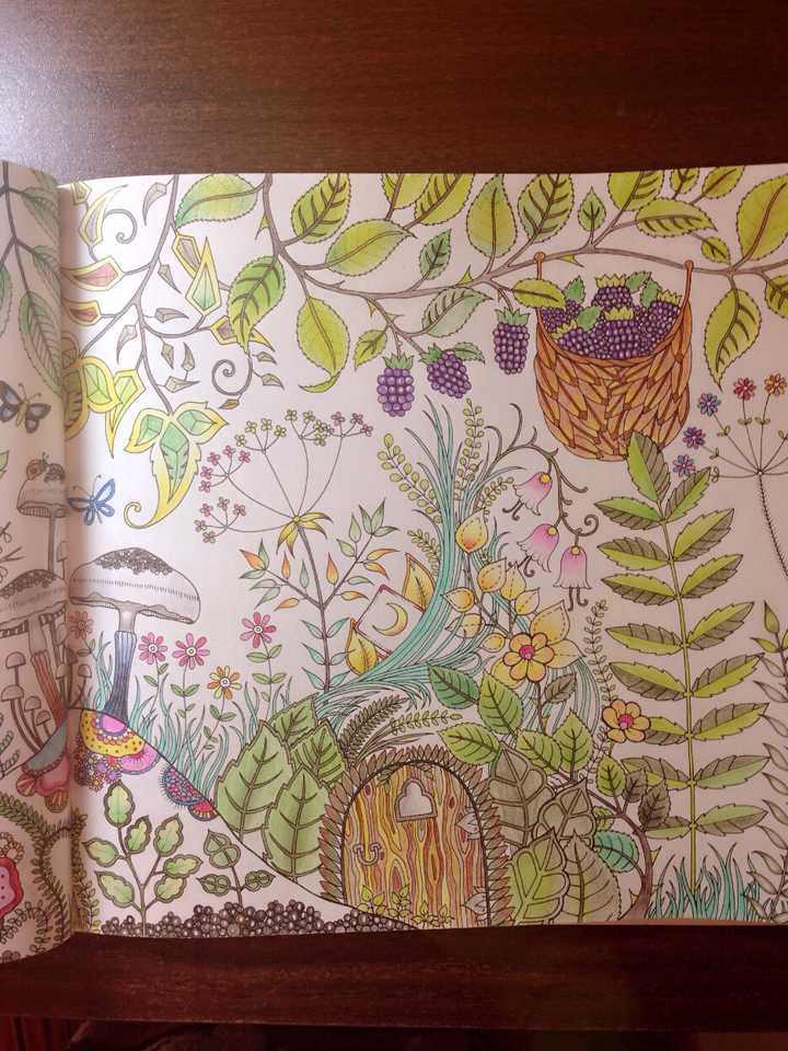 谁能画《神秘花园》《魔法森林》这样的涂画?
