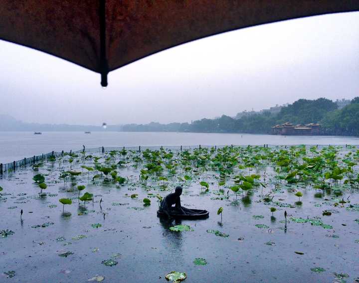 雨天西湖该怎么玩?