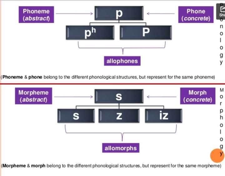 morph,morpheme 和 allomorph 的区别及关系是什么?