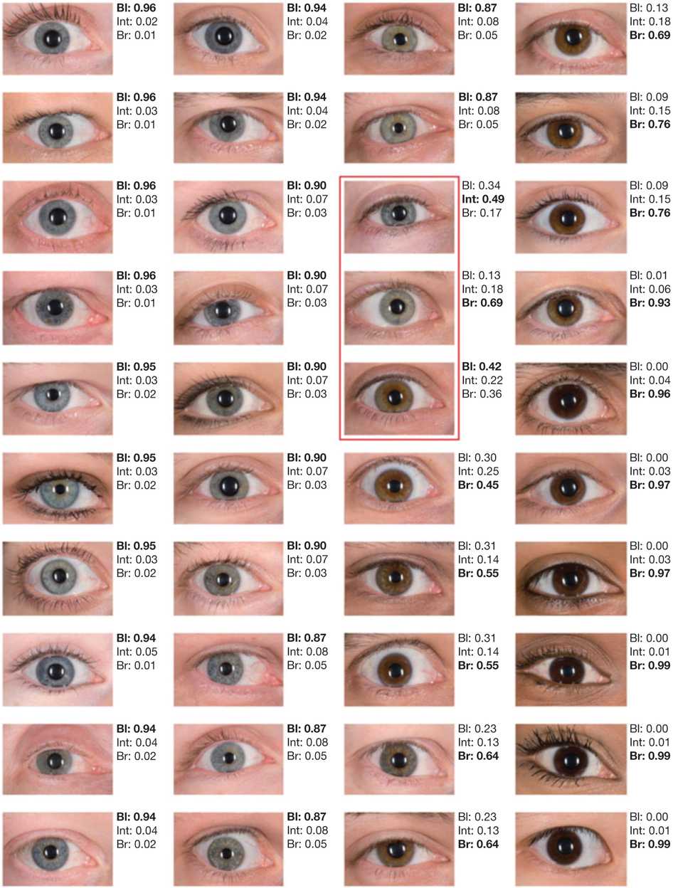中国人的眼睛也不是都是黑色,很多人是深棕色,还有浅棕色.