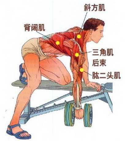 三头:三头的话在宿舍能要简单的锻炼的话,我推荐仰姿反屈伸,简单粗暴