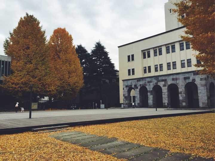 在东京工业大学 (tokyo institute of technology) 就读是怎样一番