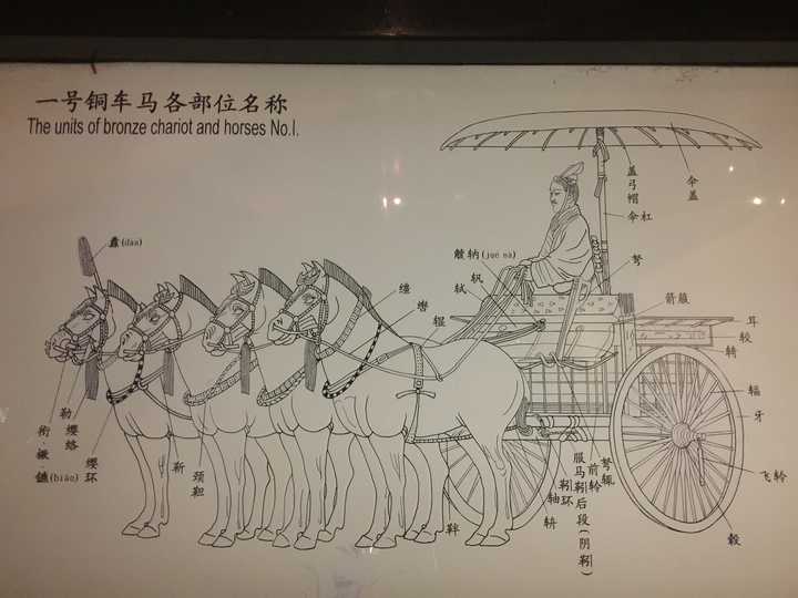 中西方古代马车的差异是什么?