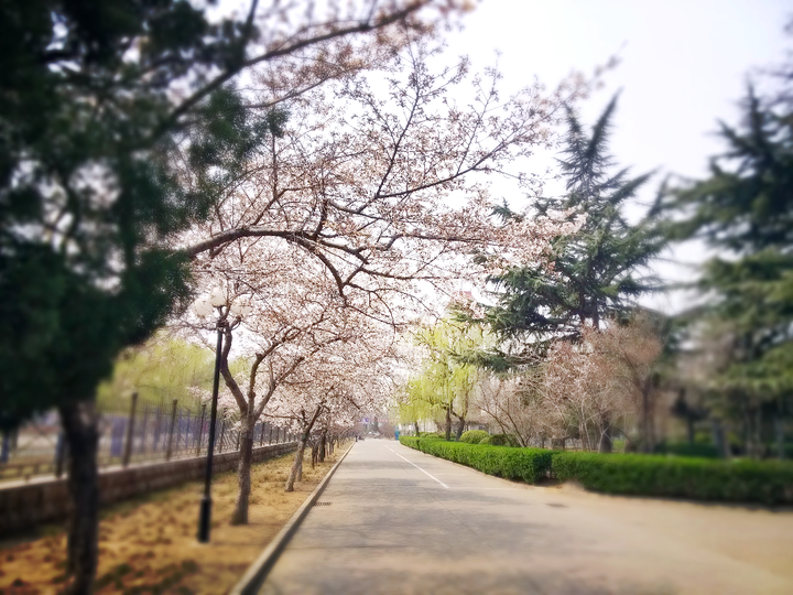 在山东理工大学(sdut)就读是什么样的体验?