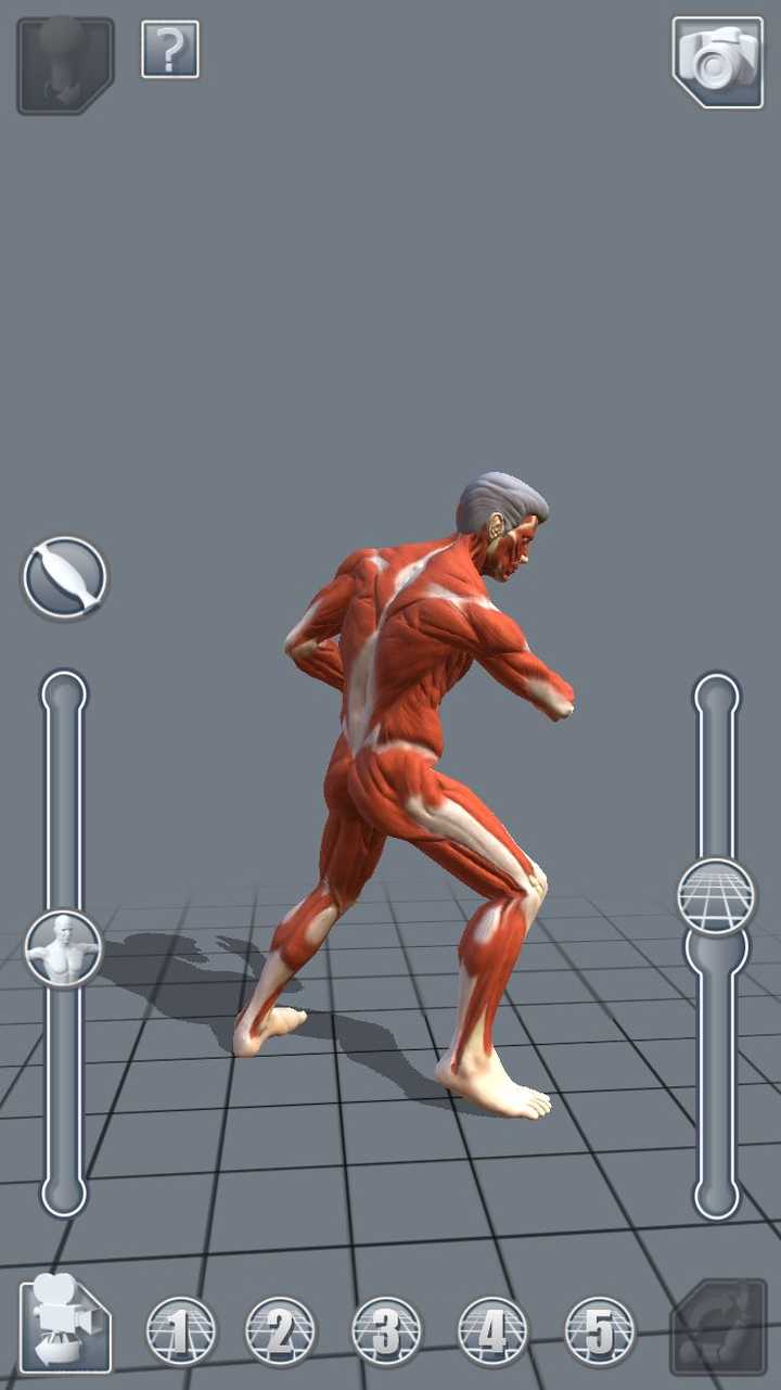 有哪些好用的艺用人体模型参考app?