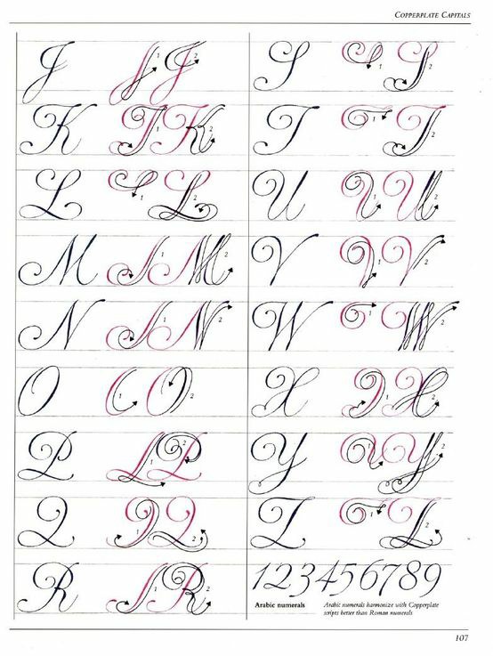 怎么写出好看的花体拉丁字母a,b,c,d………?