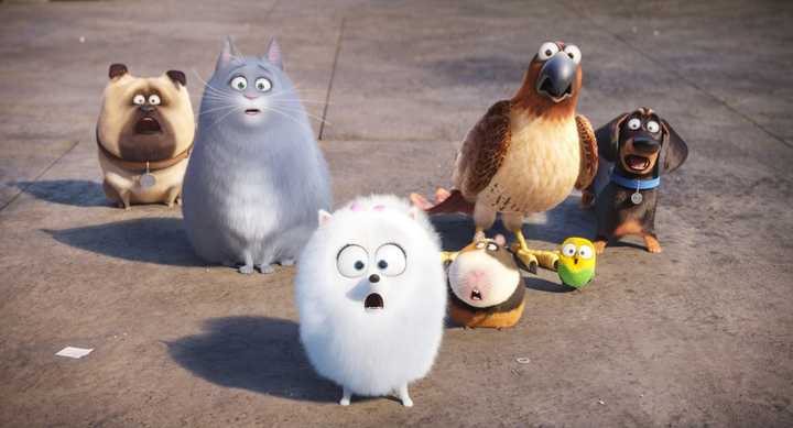 如何评价电影《爱宠大机密》(the secret life of pets)?