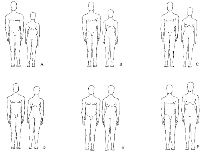 & kozie 2002)  如图六组男女,不同的身高比例(男/女)分别