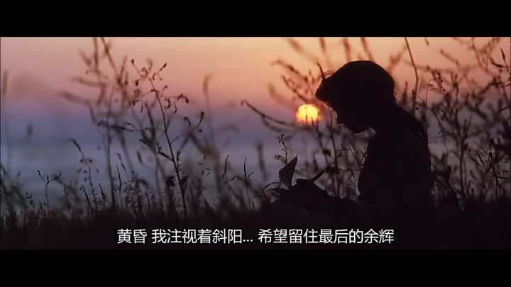 《燃情岁月》 《one day》 《当幸福来敲门》《和莎莫的五百天》