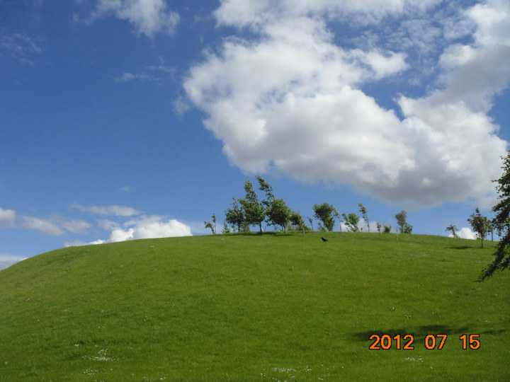 这张是ustinov college的山坡草坪