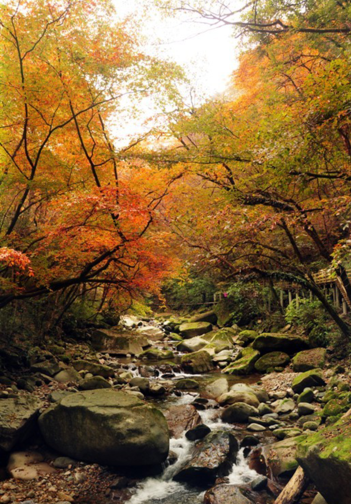 四川省南江县光雾山,秋季赏红叶圣地,风景不输九寨,红叶远胜香山