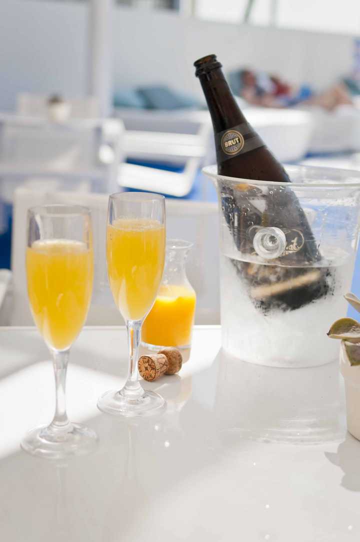 mimosa