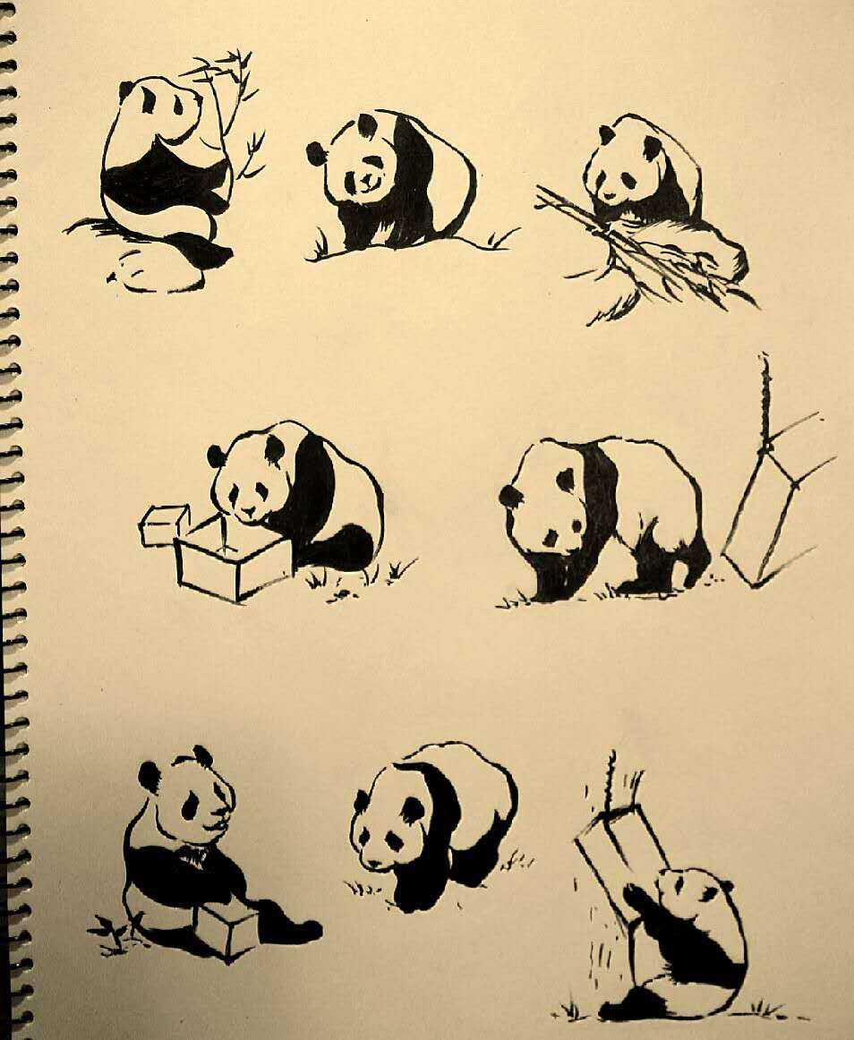 熊猫是一种很有禅意的动物,跟毛笔水墨风最搭,懒得准备水墨,就用软头