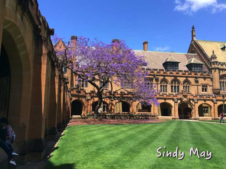 在悉尼大学(university of sydney 就读是怎样一番体验?