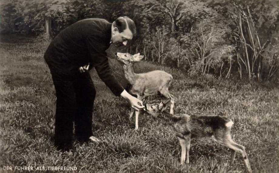 别的方面暂时先不说,希特勒是一个很喜欢狗的人,也是懂返的人.