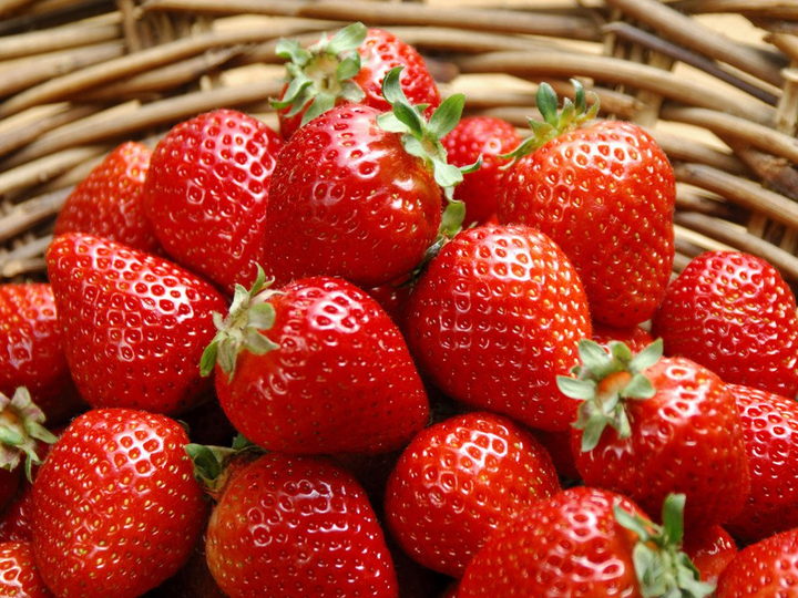 草莓 我们这么多年吃的草莓并非是它的果实.
