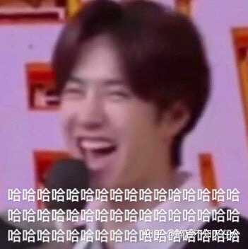 为什么猫头姐姐做的王一博表情包总是很好笑且很好用?