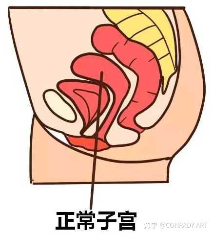 做试管对子宫内膜有什么要求?
