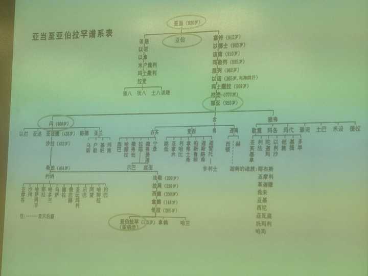 伊斯兰教,犹太教,基督教之间有什么联系?