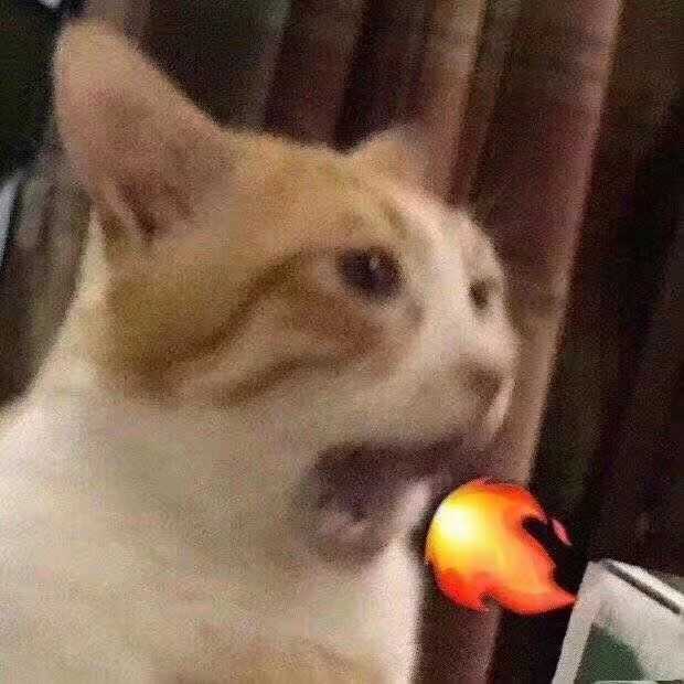 有兄弟有沙雕头像嘛?