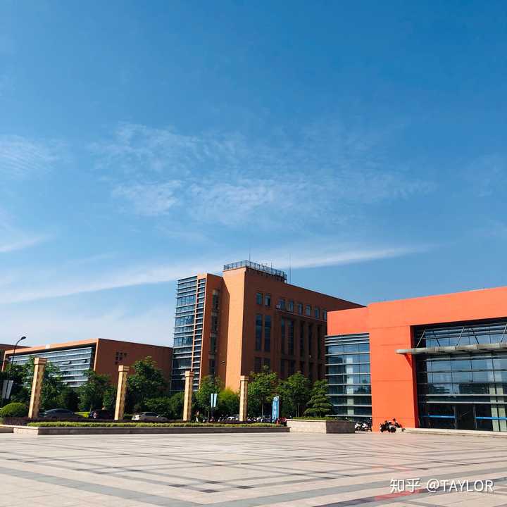 浙江财经大学东方学院真实情况?
