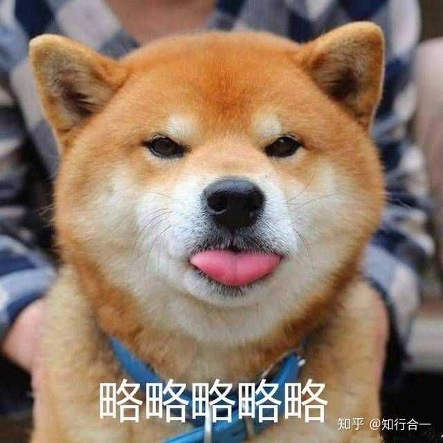 微信头像重要吗?灰~硚~重要!