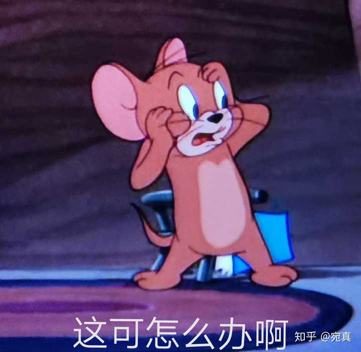 有什么好玩的猫和老鼠表情包?